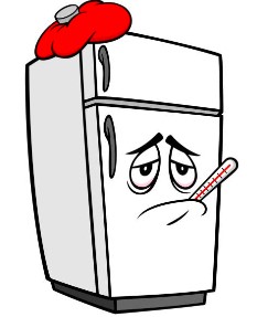 Fridge Repair